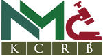 logo-icon